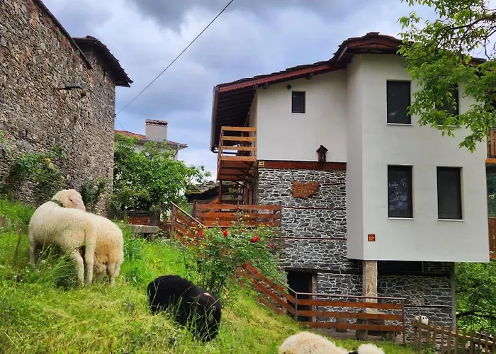 Guest House Elena Kosovo foto
