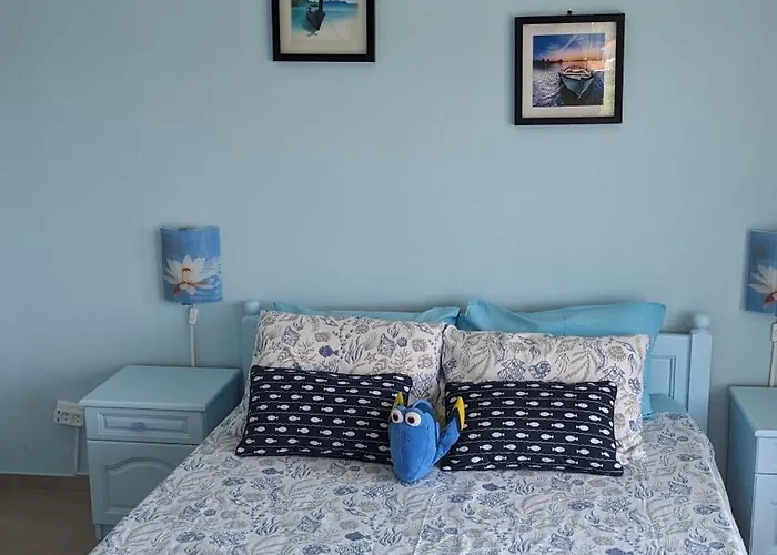 Guest House Chalakov 시네모레츠 사진