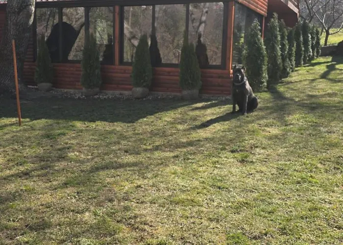 Вила Орехите Dupnica fotorgafie