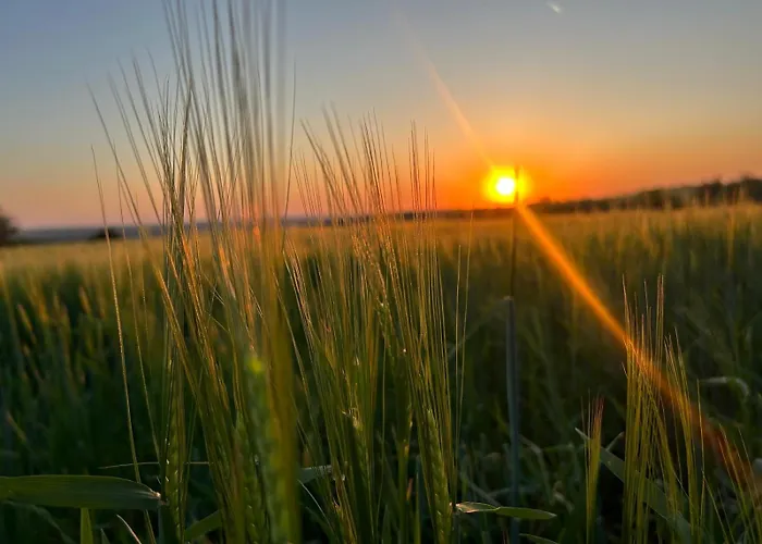 Natururlaub Mit Pferdeglueck - Dein Rueckzugsort Bei Nikopol Vabel foto
