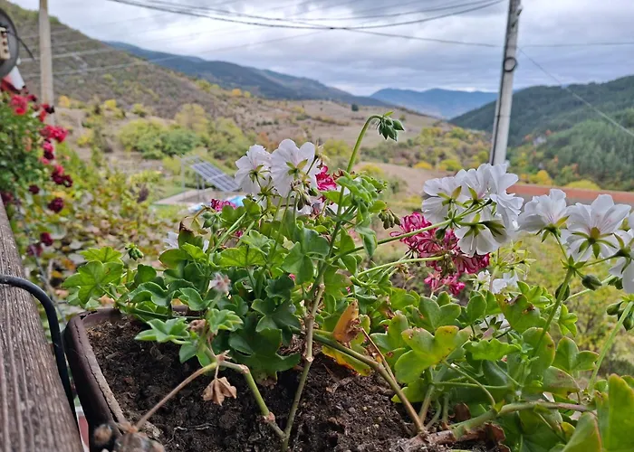 fotos do Къща За Гости У Нико Orehovo