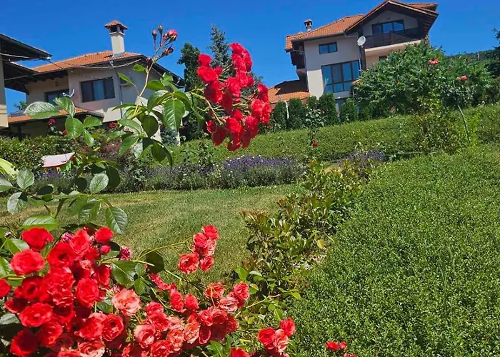 Vila Roza Lakarevo photo