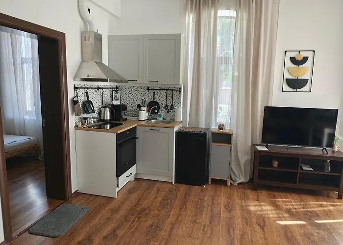 Radomir Downtown Apartments 사진