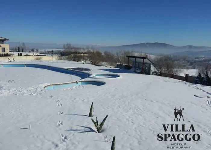 Photo de Villa Spaggo Complex Bistritsa 