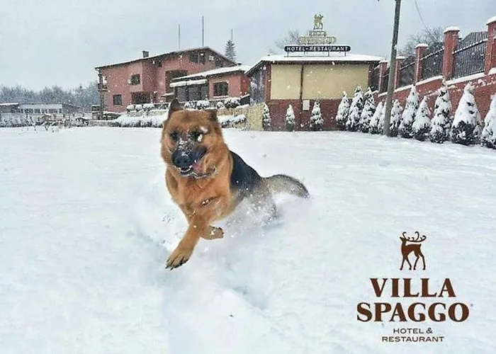 Villa Spaggo Complex Bistritsa  photo