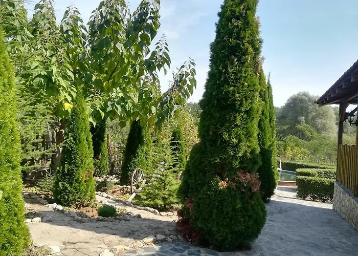 Еco House - Nature Villa Otets-Paisievo foto